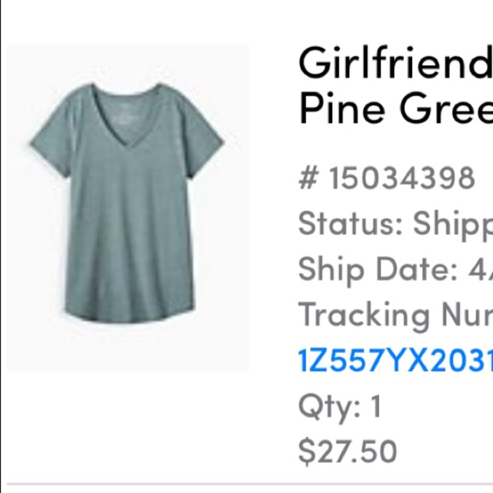 Torrid Size 1 Super Soft Classic T VNeck Pine Green
